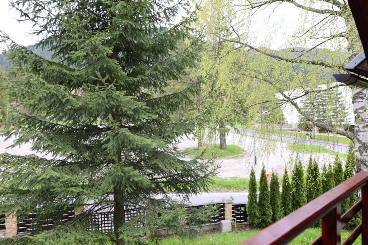 Vila Pinul Si Mesteacanul Poiana Brașov Exterior foto