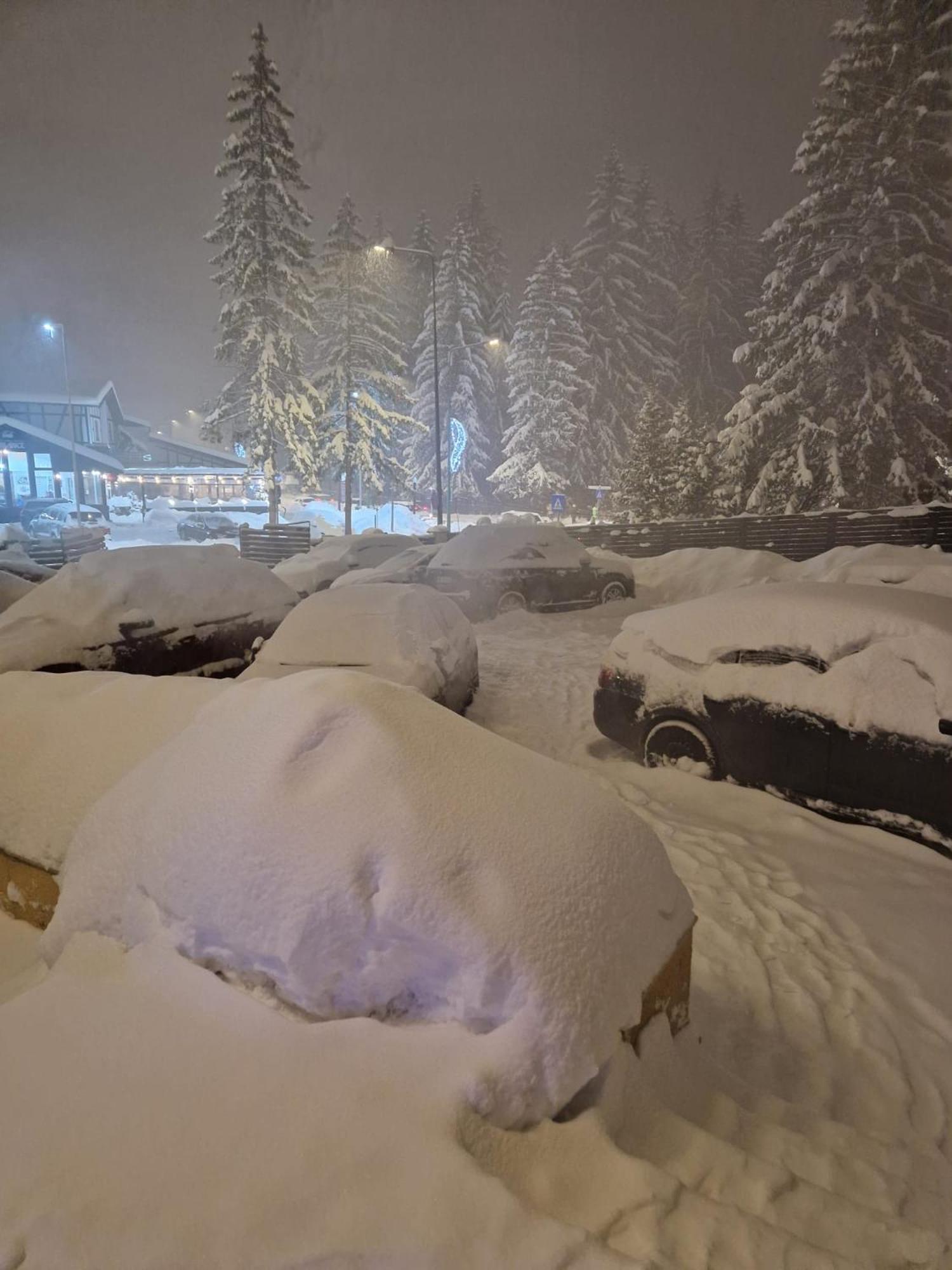 Vila Pinul Si Mesteacanul Poiana Brașov Exterior foto