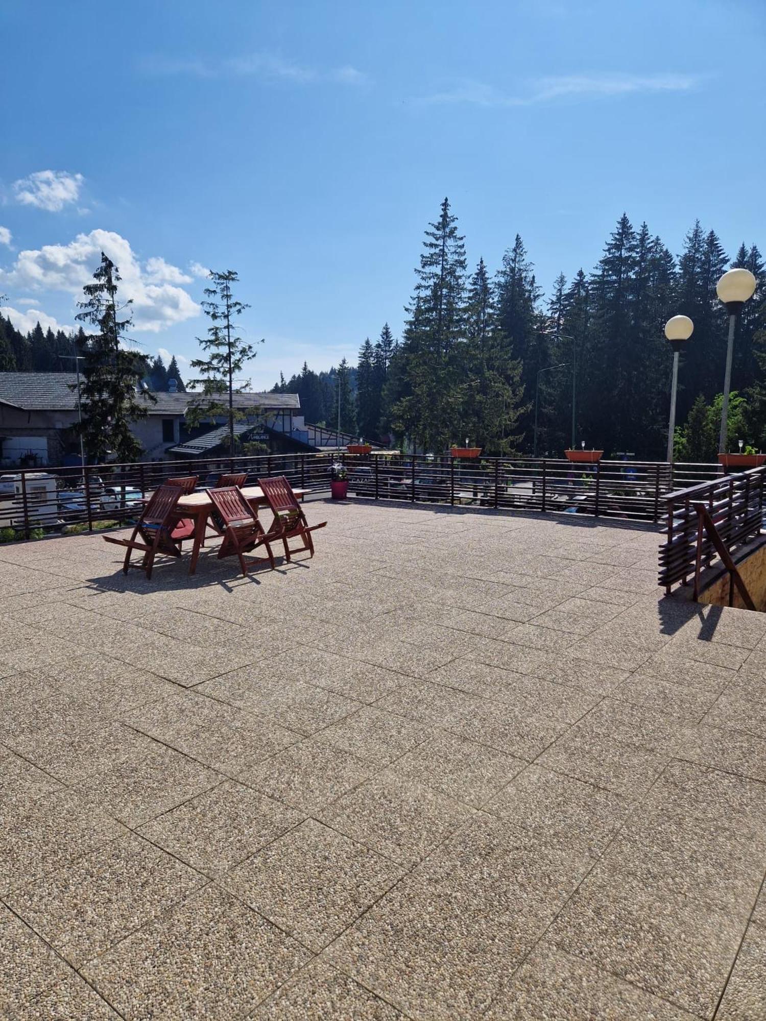 Vila Pinul Si Mesteacanul Poiana Brașov Exterior foto