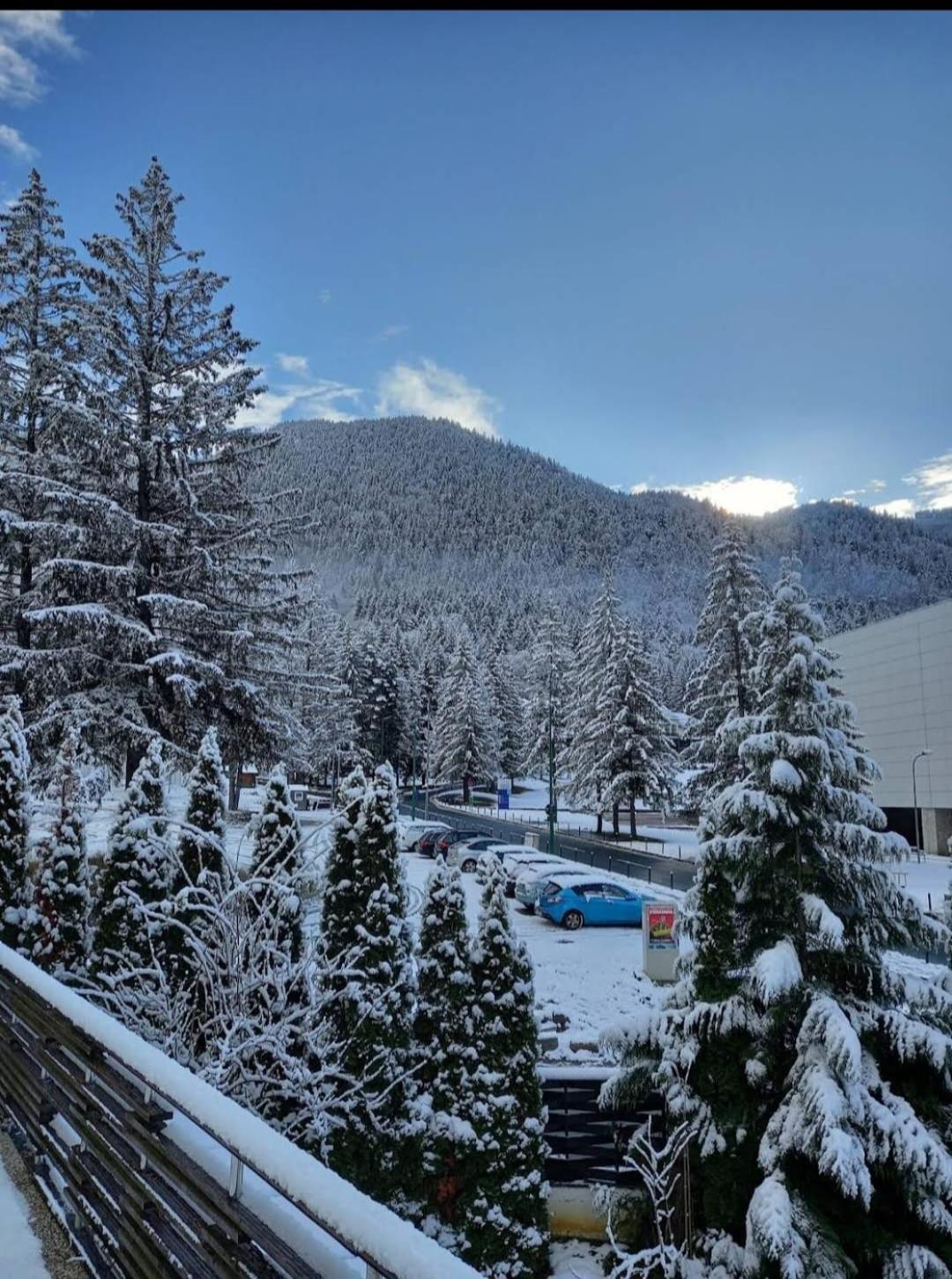 Vila Pinul Si Mesteacanul Poiana Brașov Exterior foto