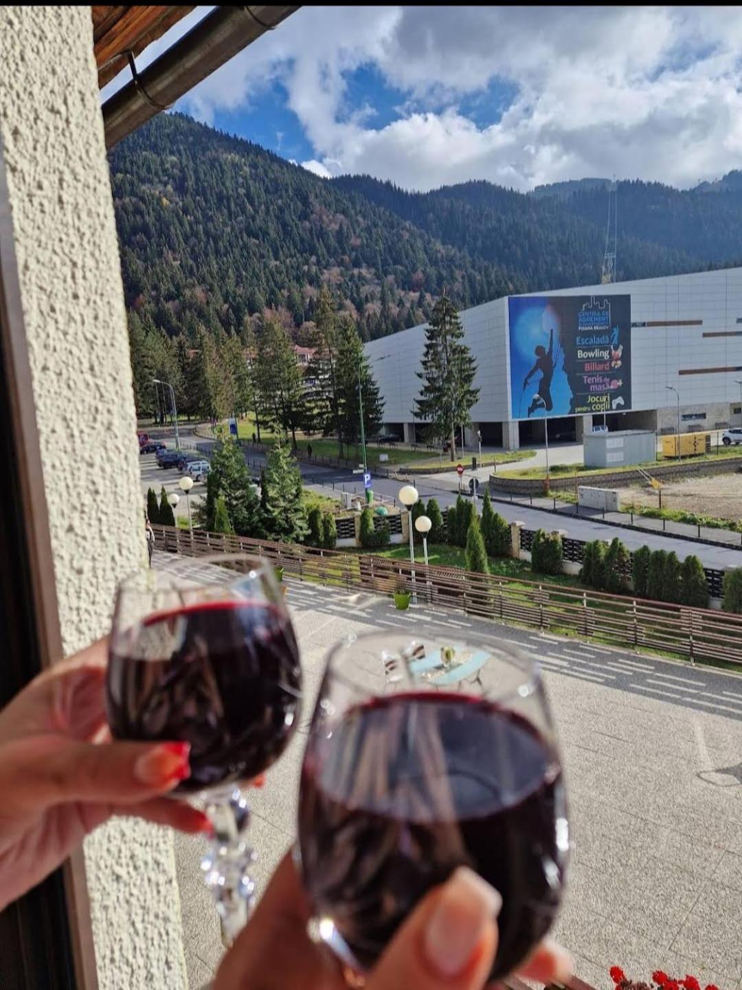 Vila Pinul Si Mesteacanul Poiana Brașov Exterior foto