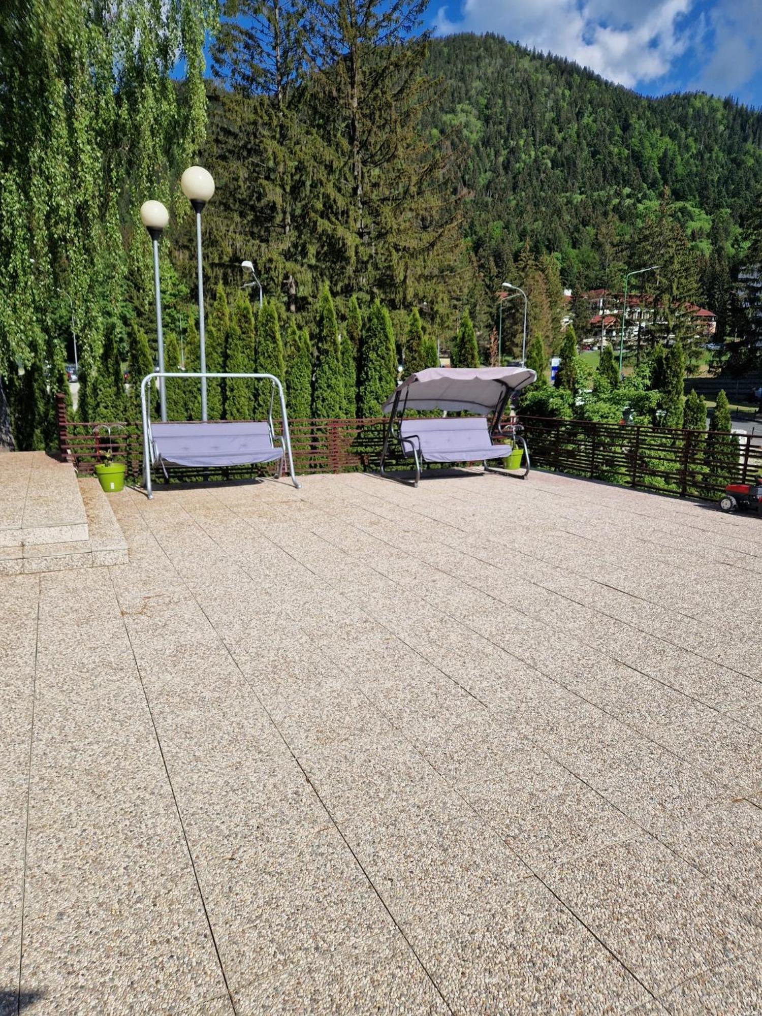 Vila Pinul Si Mesteacanul Poiana Brașov Exterior foto