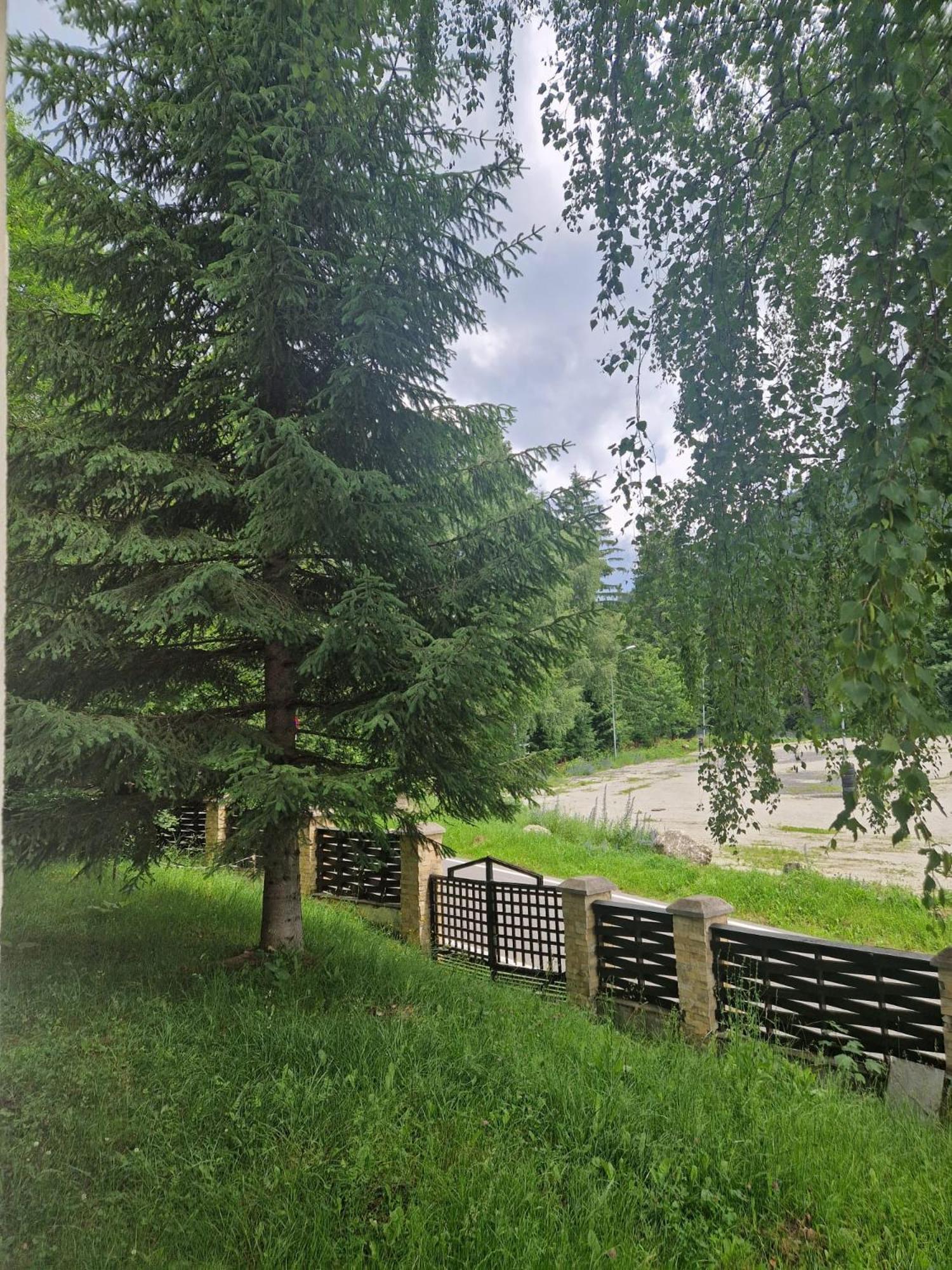Vila Pinul Si Mesteacanul Poiana Brașov Exterior foto
