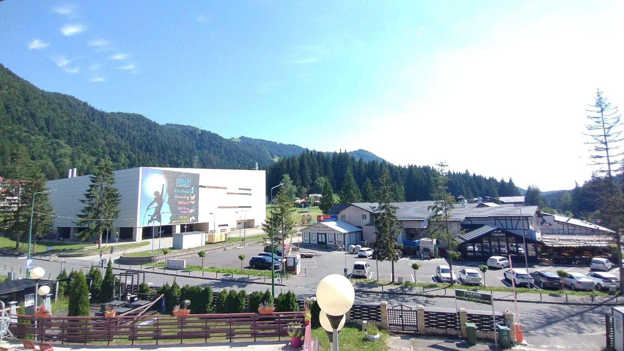 Vila Pinul Si Mesteacanul Poiana Brașov Exterior foto